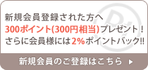 ���������Ͽ���줿����300�ݥ���ȡ�300�������˥ץ쥼��ȡ���������Τ���Ͽ�Ϥ�����