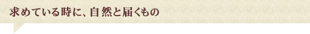 求めている時に、自然と届くもの