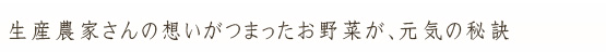 生産農家さんの想いがつまったお野菜が、元気の秘訣