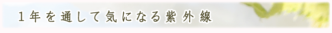 1年を通して気になる紫外線