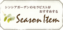 Season Item