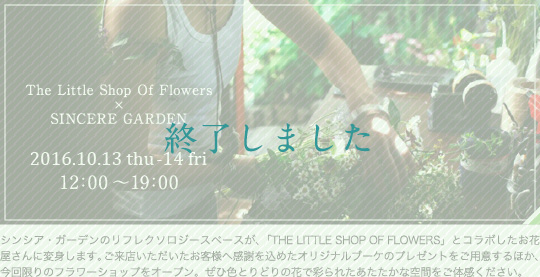 The Little Shop Of Flowers×SINCERE GARDEN