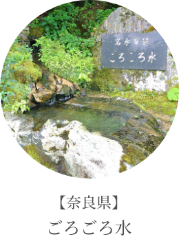 【奈良県】ごろごろ水