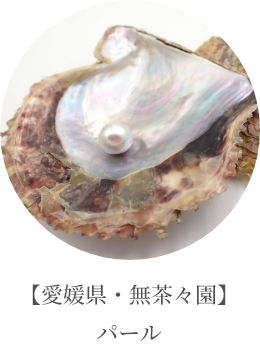 【愛媛県・無茶々園】パール