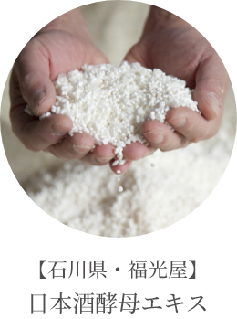 【石川県・福光屋】日本酒酵母エキス
