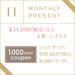 11月プレゼントキャンペーン