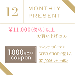 11月プレゼントキャンペーン