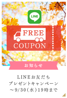 お買い得モデル即納 全品対象10 Offクーポン 7 4 サポーター 時 4時間限定 ネーム加工付 ミカサ Mikasa ママさん バレーボール4号球 検定球 10個セット Mvp400mal 代引き 同梱不可 送料無料 サプリメント Smtb Ms 送料無料 スポーツ