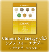 Chinois for Energy �㵤��