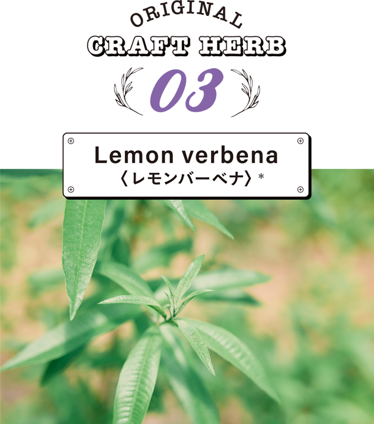 Lemon verbena レモンバーベナ