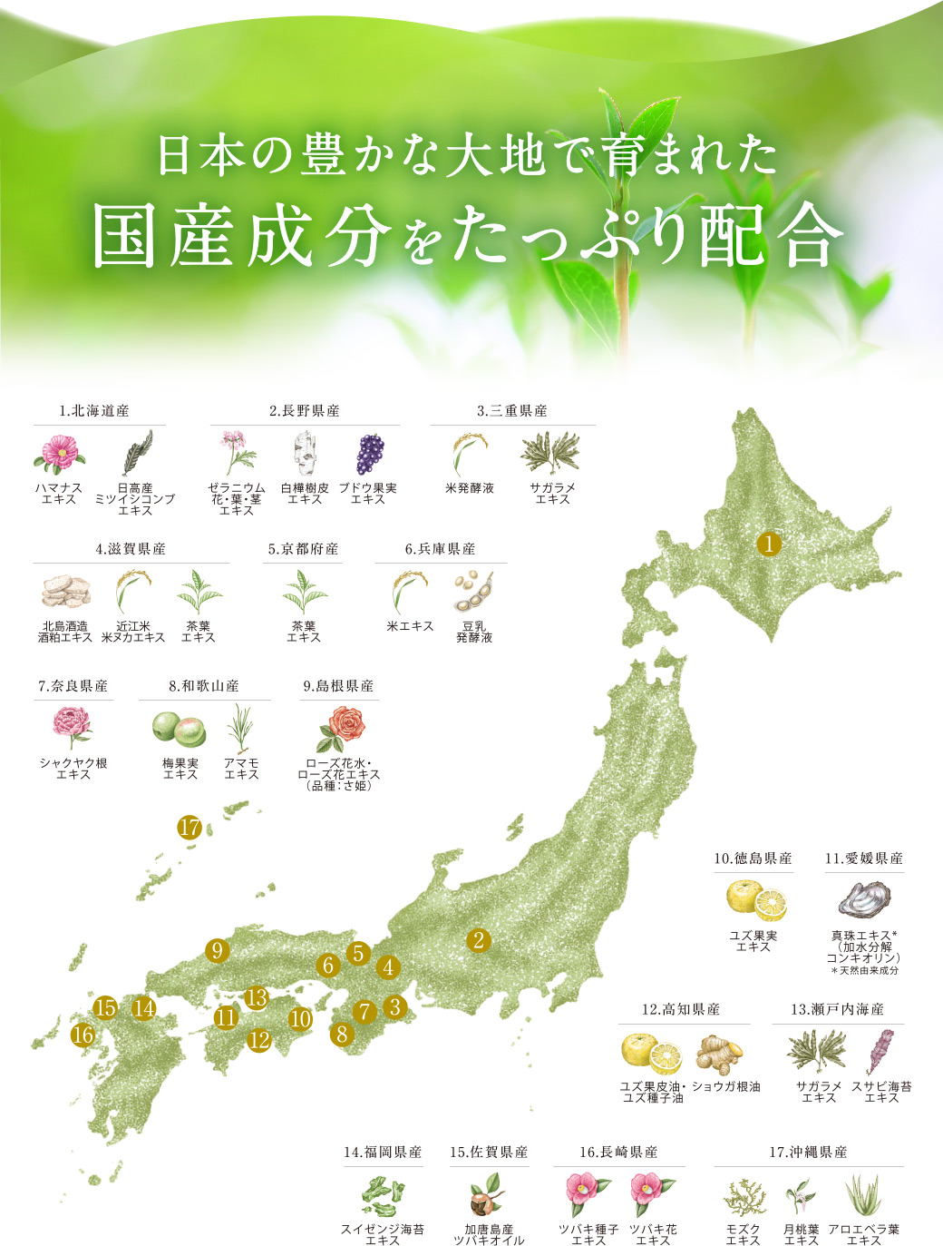 日本の豊かな大地で育まれた国産成分をたっぷり配合