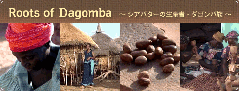 Roots of ��agomba  �� �����Х����������ԡ��������² ��