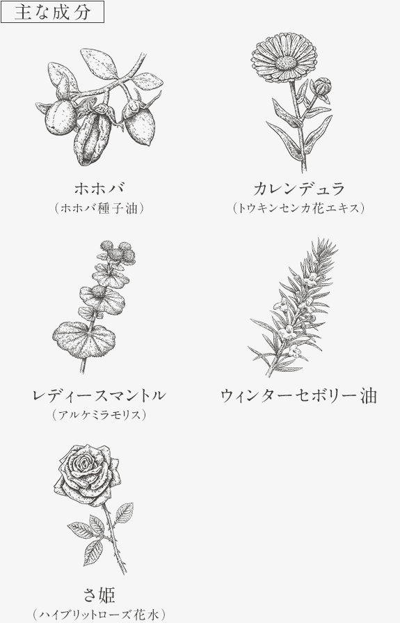 ネロリラ ボタニカ Nerolila Botanica 早坂香須子 Sincere Garden