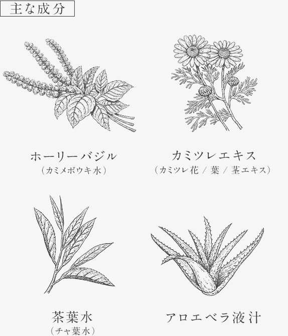 主な成分