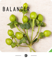 フォーチュンサイクル占い|balancer