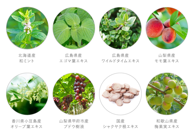 10種の国産植物成分配合