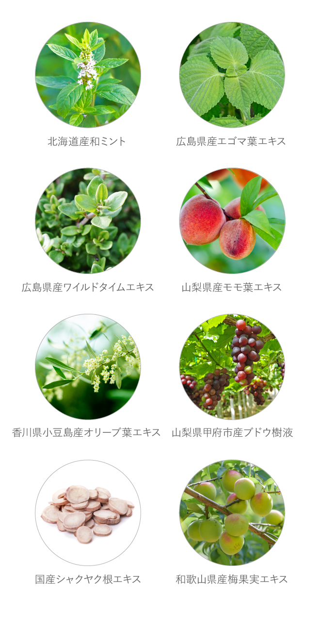 4種の国産植物成分配合