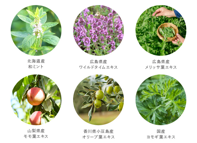 6種の国産植物成分配合