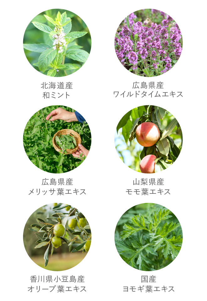 9種の国産植物成分配合