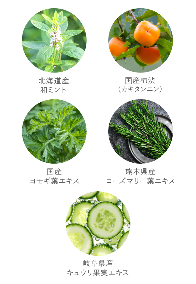 5種の国産植物成分配合