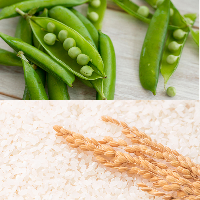 植物由来ヘアリペア成分配合