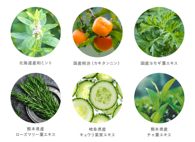 6種の国産植物成分配合