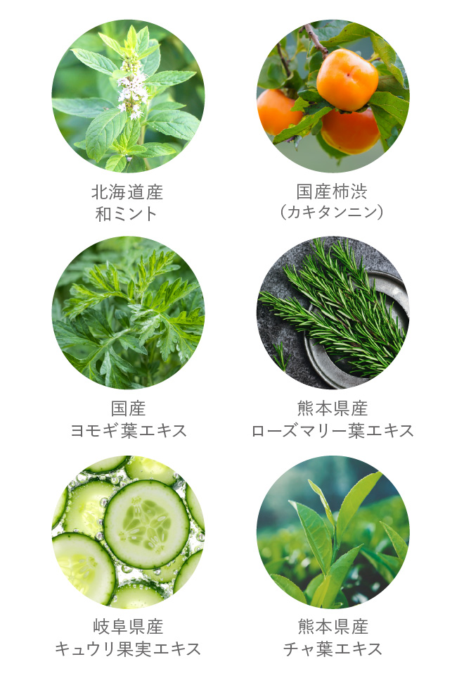 6種の国産植物成分配合