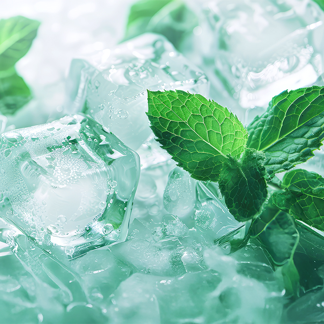 植物由来ヘアリペア成分配合