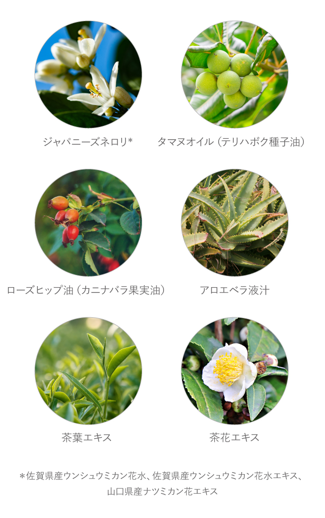 NEROLILA（ネロリラ）フラワークリーム（ネロリブロッサム） 30g