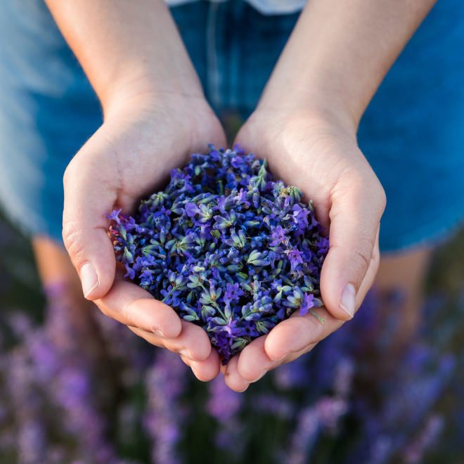 ネロリ＆ゼラニウムの香り