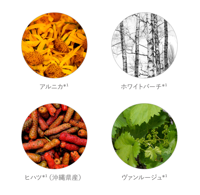 キー成分