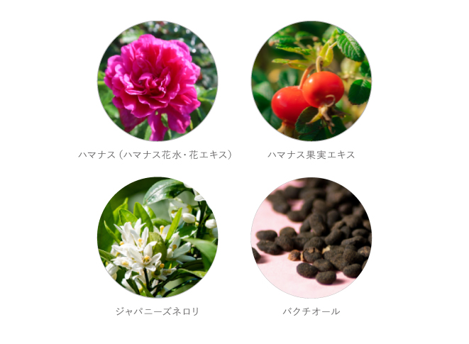 キー成分