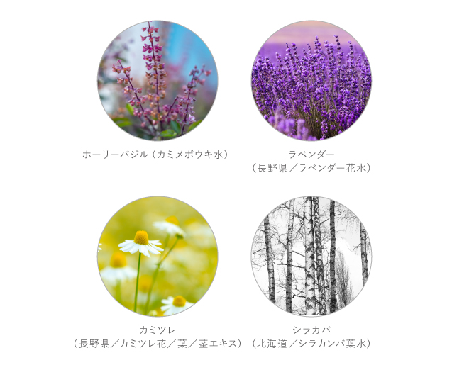 キー成分