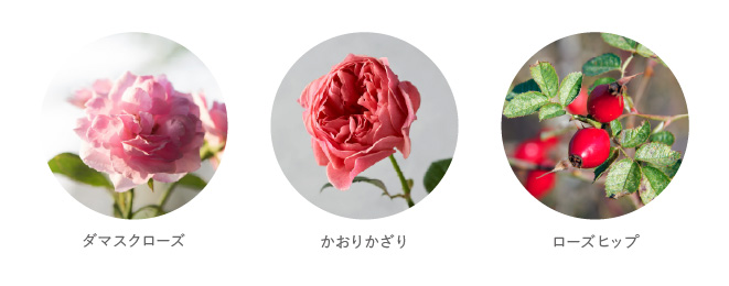 キー成分