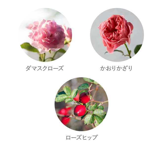 キー成分