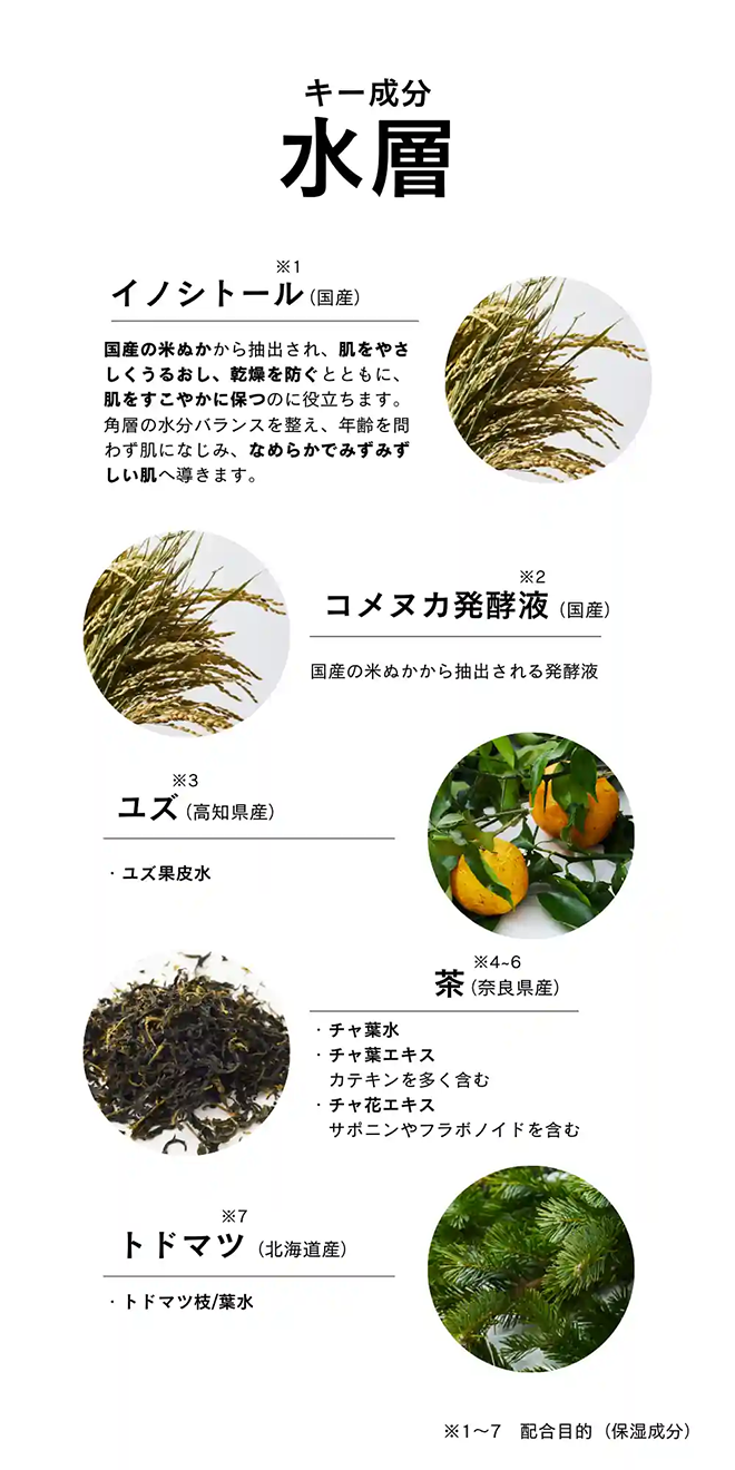 水層