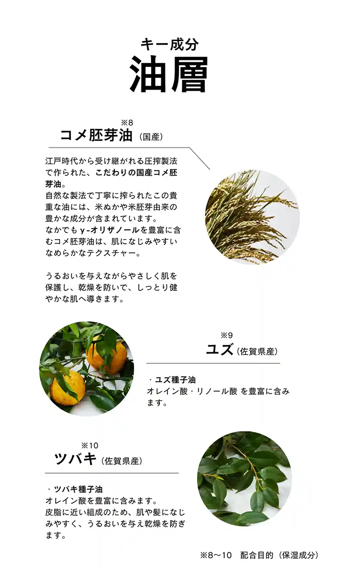 油層