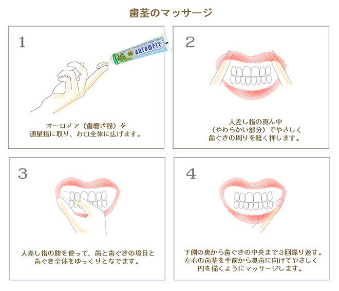 Auromere オーロメア 歯磨き粉 フォームフリー ミント 70g シンシア ガーデンweb Shop オーガニックコスメ通販