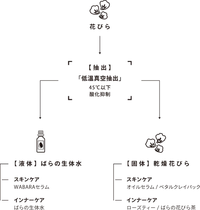 Key Essence Image
