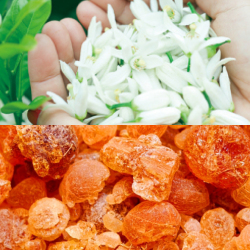 リッチリフトクリーム