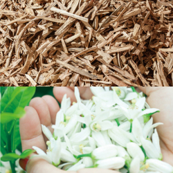 ネロリ＆ゼラニウムの香り