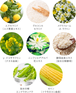 8種の植物由来補修成分"