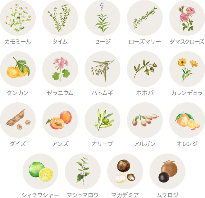 15種類のオーガニック植物原料