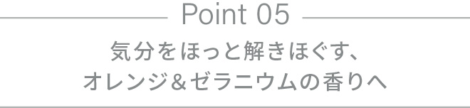 リニューアル ポイント5