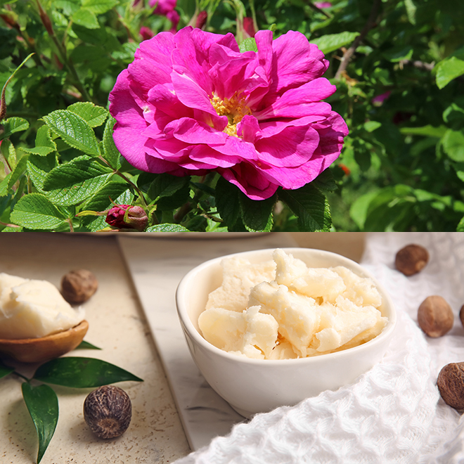 数量限定】NEROLILA（ネロリラ）リッププランパー シアーブラウン 5g