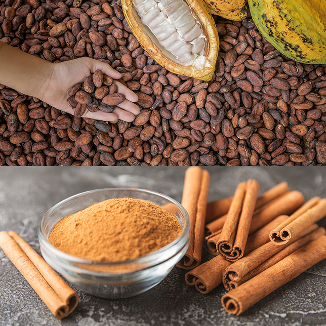 数量限定】NEROLILA（ネロリラ）リッププランパー シアーブラウン 5g