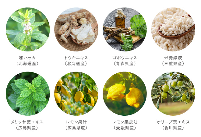 13種類の国産植物成分配合