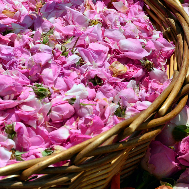 ローズ＆ツバキの香り