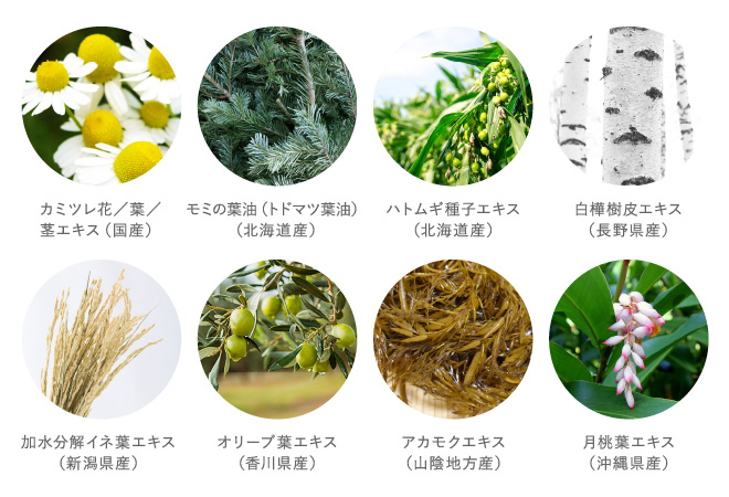 11種類の国産植物成分配合