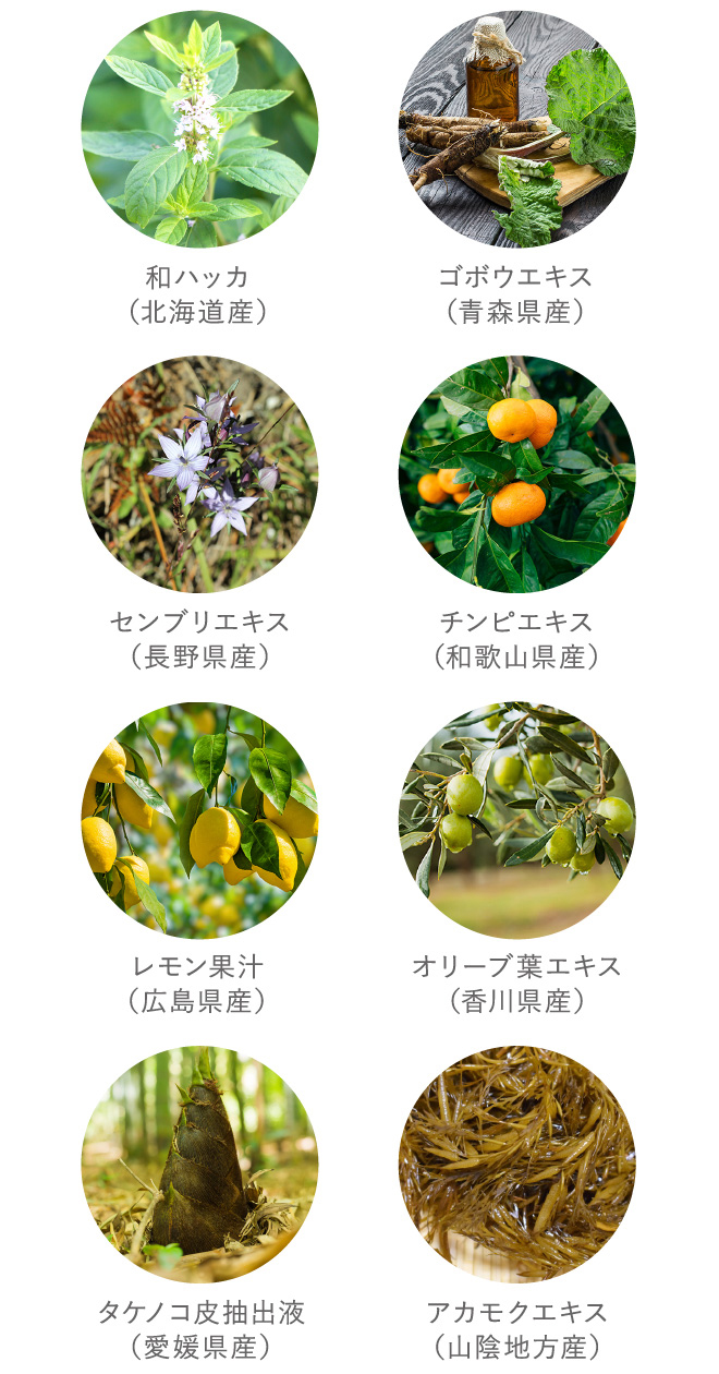 12種類の国産植物成分配合